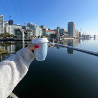 The Summer Set Classic